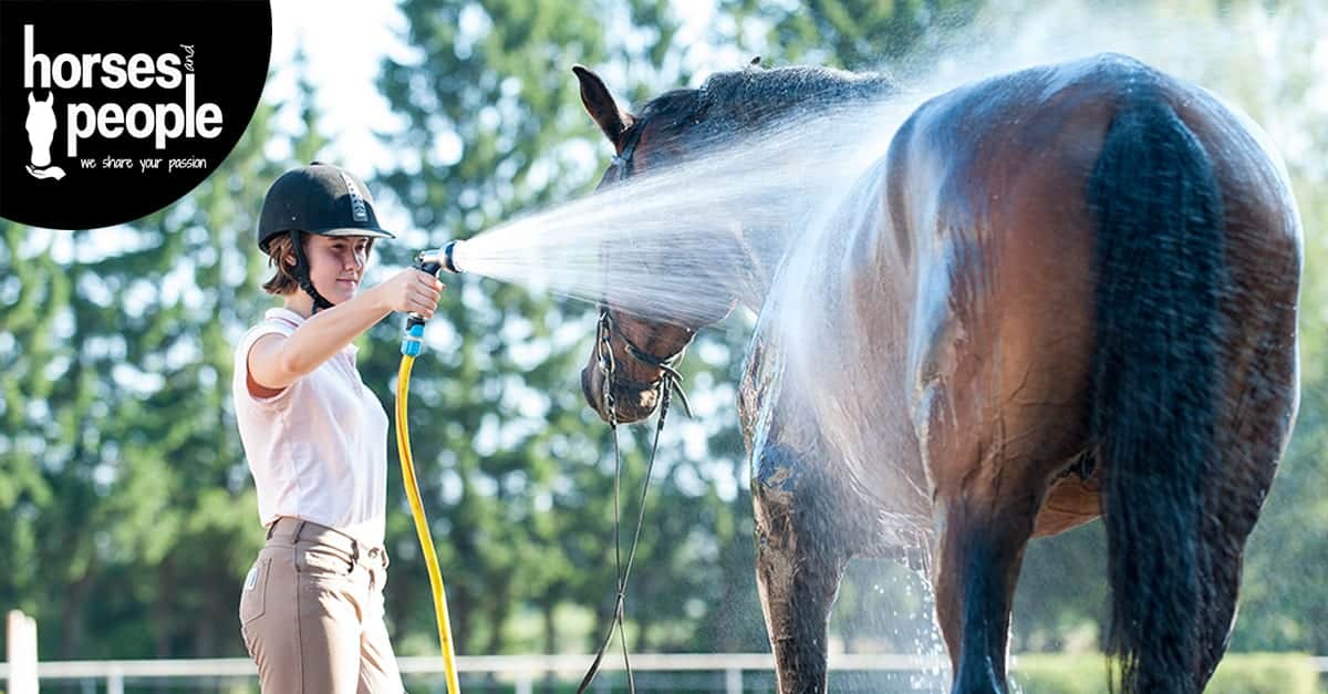 Tips for Exercising Horses Safely in Summer