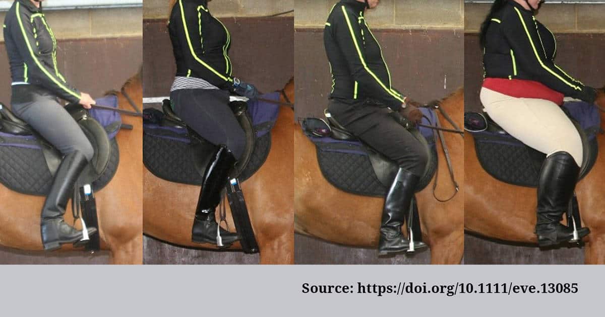 Horse-rider weight ratio pilot study: Results are in