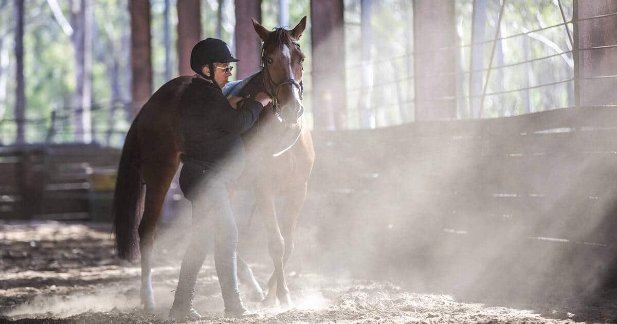 Groundwork with goals, another sustainable innovation from North American Western Dressage