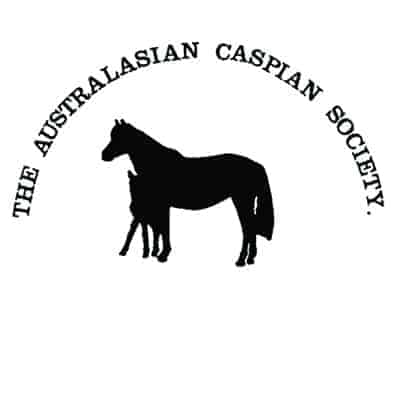 Jenne Timbs and The Australasian Caspian Horse Society