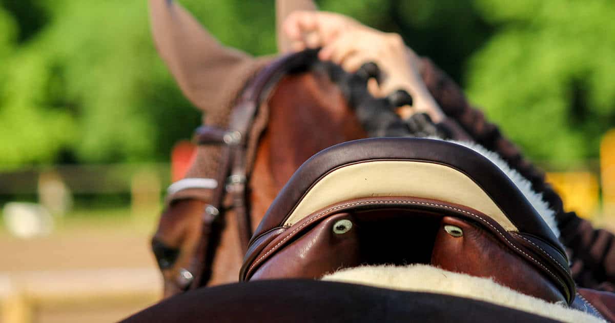 Is Your New Saddle Symmetrical? Your Horse Isn’t!