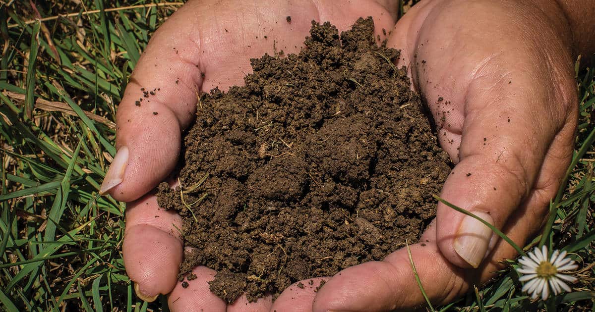 All About Soil. Part 1, Facts about soil