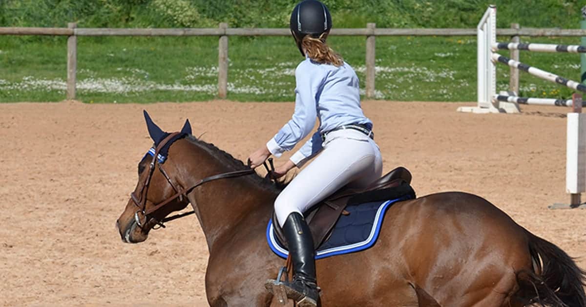 Horse Riders’ Attitudes to Managing Risk “Disturbing” Says Safety Researcher