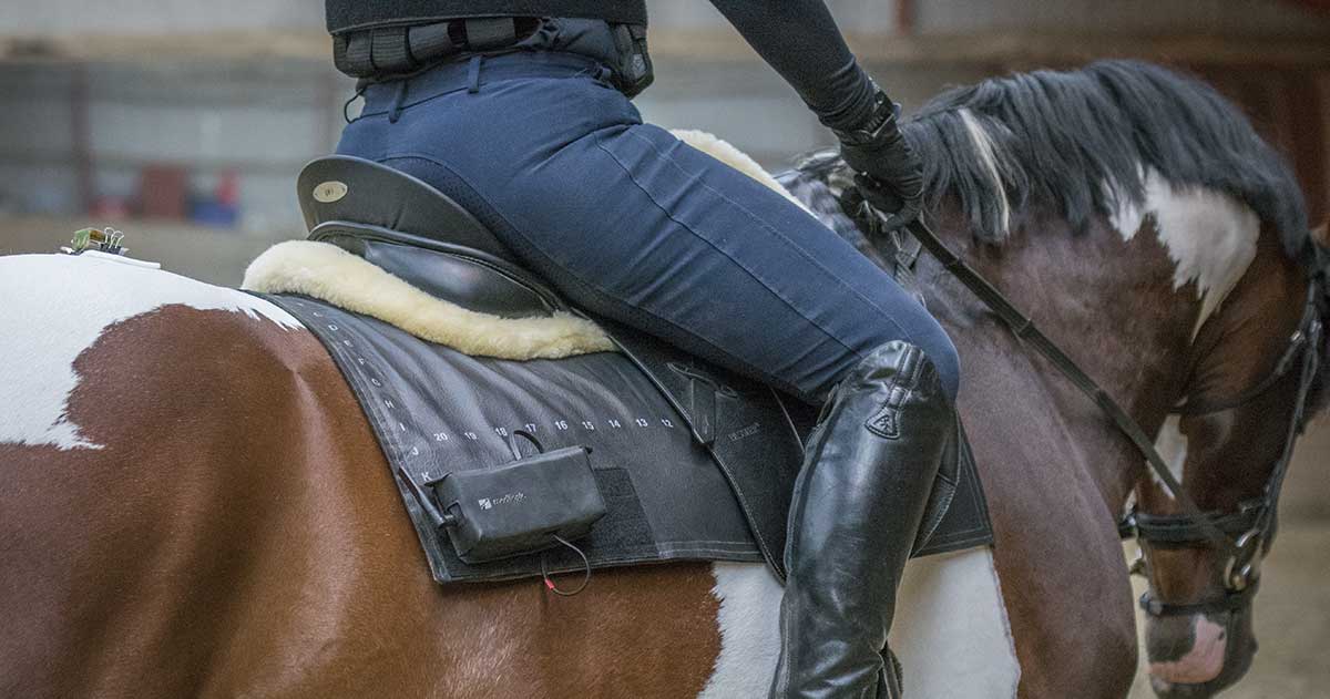 Horse Rider Weight Gain: If you gained some holiday weight, don’t give up horse riding