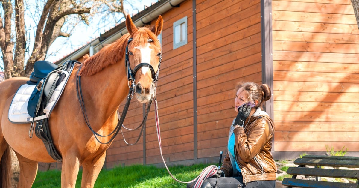 Not in Front of the Ponies! Why Humans Should Control their Emotions around Horses