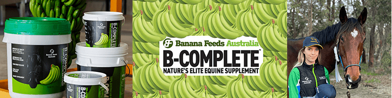 B-COMPLETE™ by Banana Feeds Australia – The Revolution in Equine Gut Health
