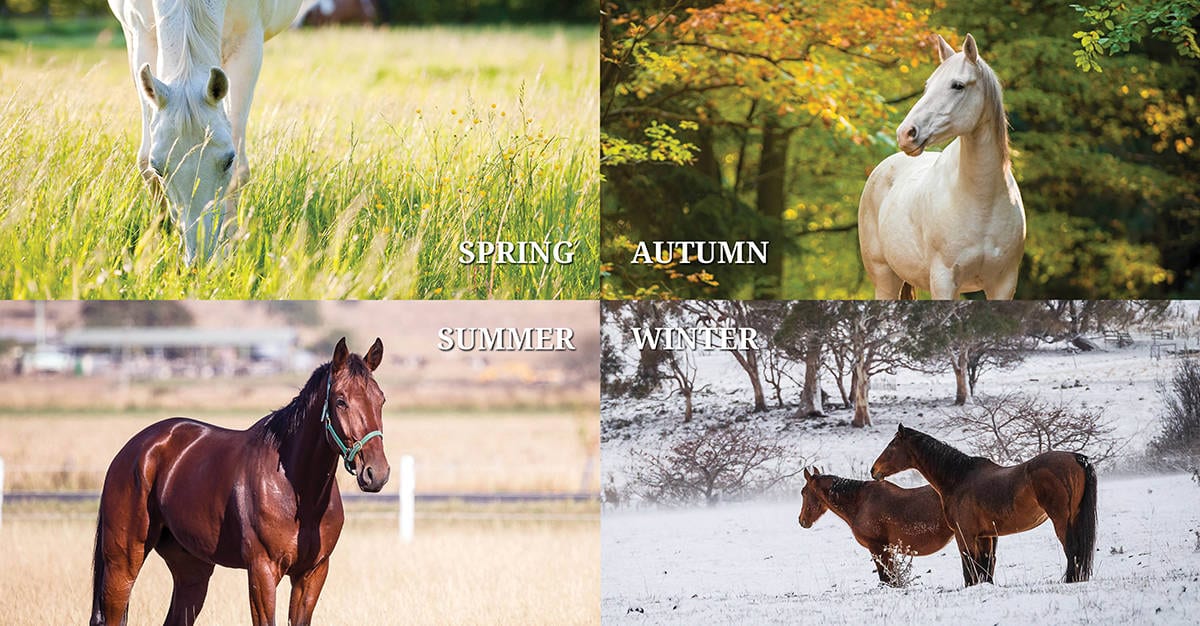 Horse management through the seasons. managing worms in horses.
