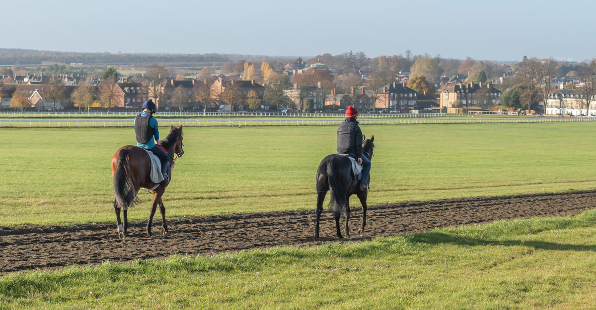 It’s More than the Early Starts. Horseracing’s Staff Recruitment and Retention Challenges