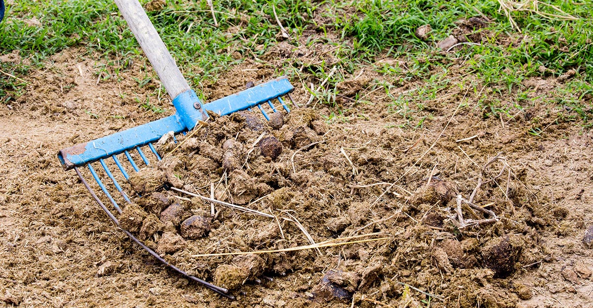 How to Compost Horse Manure