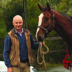Dr Ian Bidstrup, BVSc(Hons) MANZCVS (Equine Med) Master Chiro Sc CVC CVA