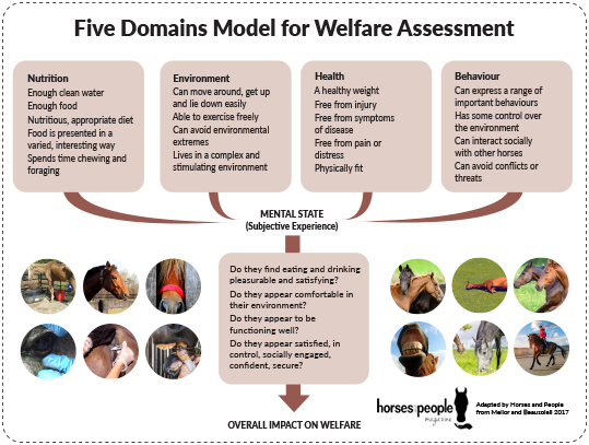 The 2015 Five Domain Model for welfare assessment
