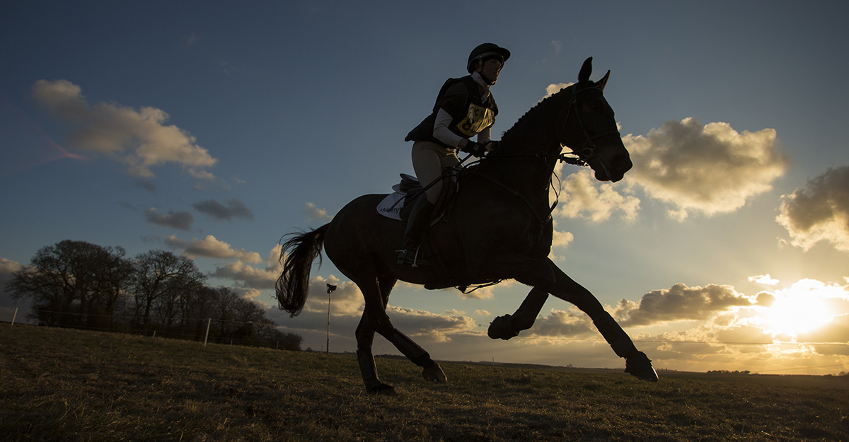 UK survey reports 1 in 5 people do not support horses in sport