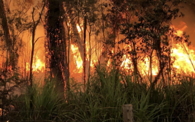Willinga Park Bushfire: Planning and Preparation Paid Off
