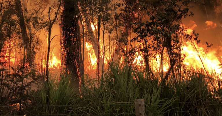 Willinga Park Bushfire: Planning and Preparation Paid Off