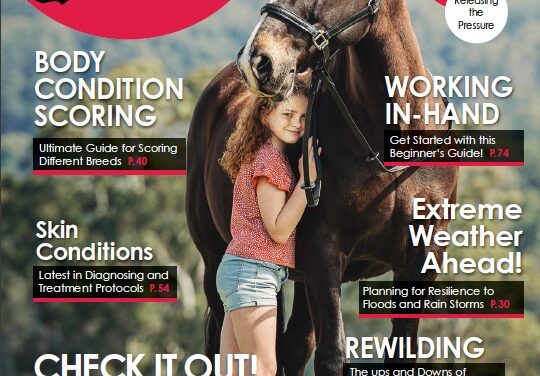 Horses and People Magazine November-December 2021