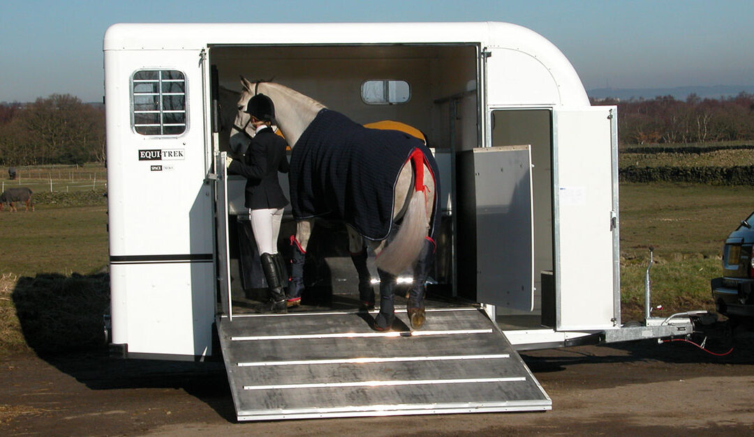 Balanced Horse Transport for Safer, Less Stressful Journeys