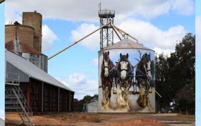 The Heavy Horse in Australian Art