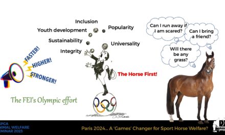 Will Paris 2024 be an Olympic Games-changer for horse welfare?