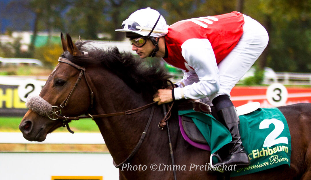 The Evidence for Allowing a Bit-Free Option in Equestrian Sport