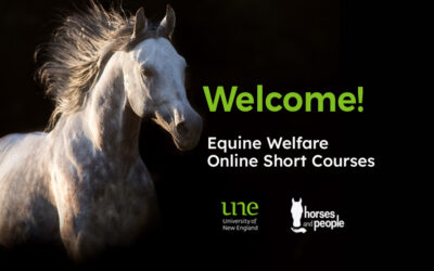 UNE takes the lead on horse welfare with new short courses
