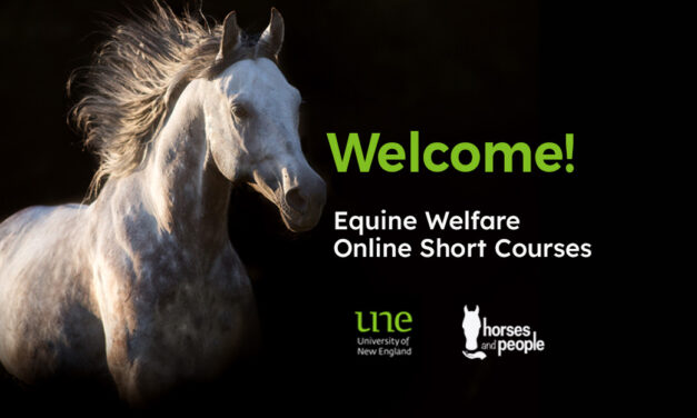 UNE takes the lead on horse welfare with new short courses