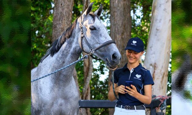 From Chaos to Clarity: How EquiCare is Transforming Horse Management