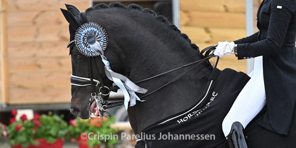 Photo ©Crispin Parelius Johannessen.