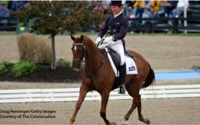 Horse whipping is painful and cruel. The latest incident shows why it should be banned