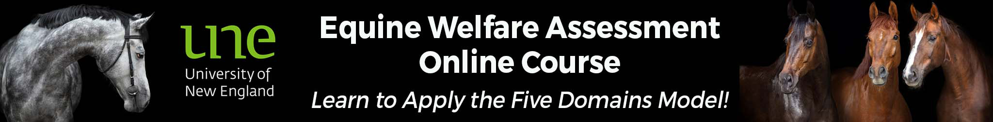Equine Welfare Assessment Online Course