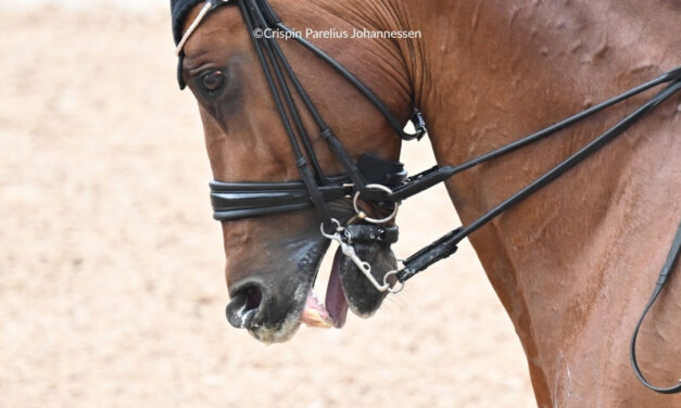 Think Blue Tongues may be Harmless in Elite Sport Horses? Think Again.