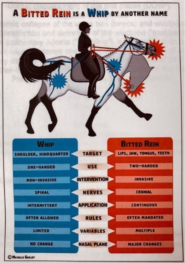 A bitted rein is a whip by another name