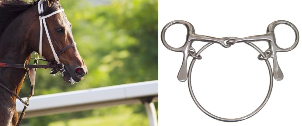 A Dexter Ring bit.