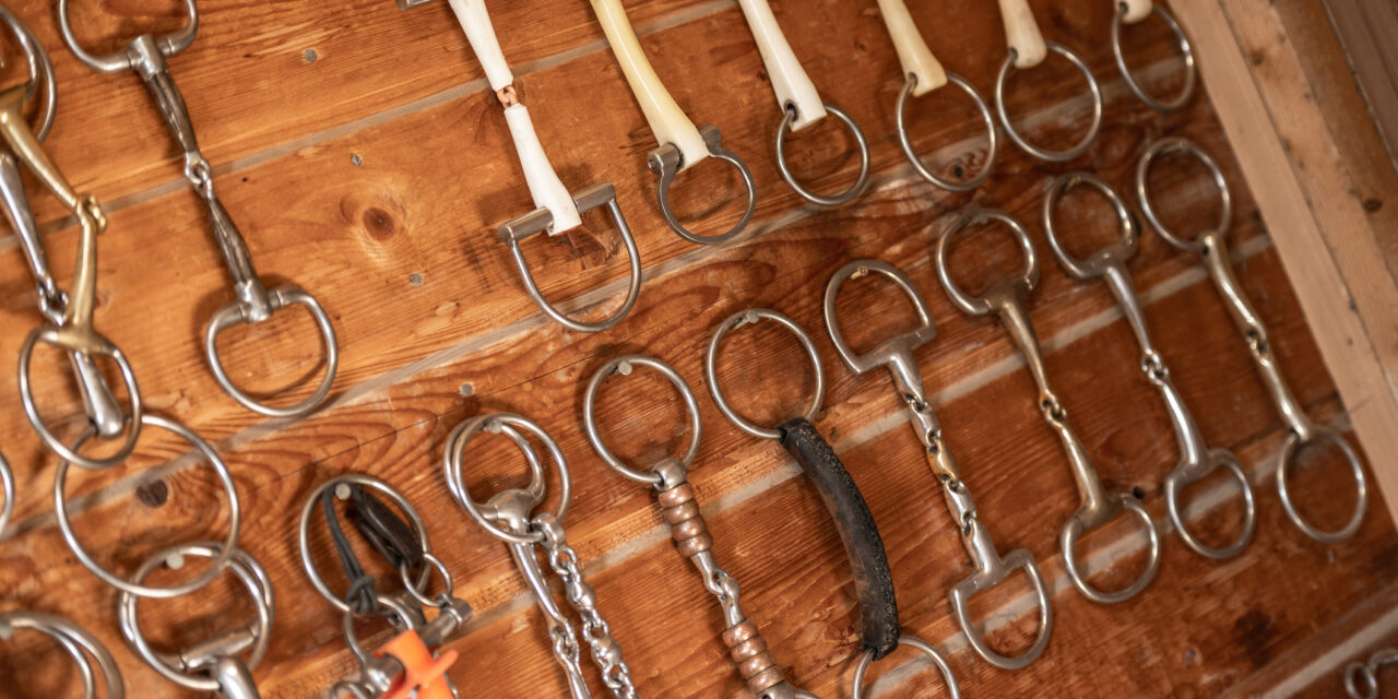 The Perfect Bit for your Horse