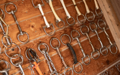 The Perfect Bit for your Horse