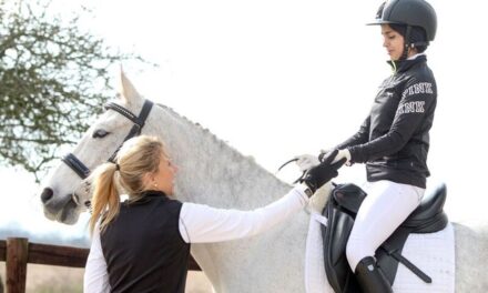 From Principles to Practice: How Riding Schools are Reshaping Welfare Culture