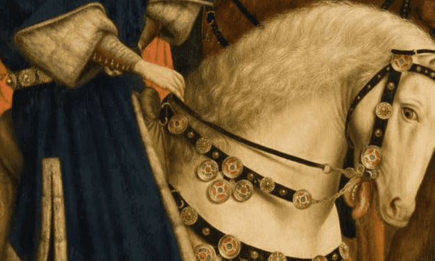 Bits Bite: The Plight of Sport Horses