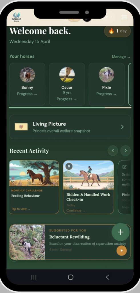 The app’s home screen showing Bonny, Oscar, and Pixie as named horse profiles, with the Living Picture dashboard, Recent Activity, and observation-driven ‘Suggested for You’ content visible.