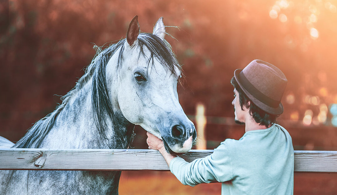 What Kind of Horse Person Are You — And What Does That Mean for Your Horse?