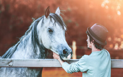 What Kind of Horse Person Are You — And What Does That Mean for Your Horse?
