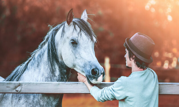 What Kind of Horse Person Are You — And What Does That Mean for Your Horse?