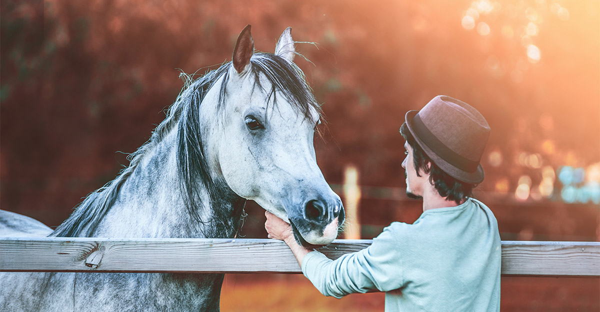 Shutterstock image of a man with a grey horse