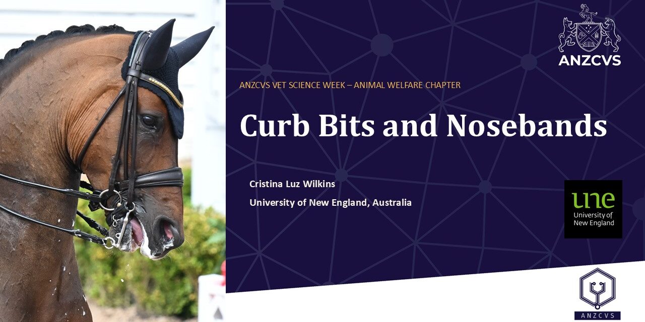 “Hiding in plain sight”: researcher tells veterinarians that bit and noseband pressures routinely exceed what equine tissues can tolerate