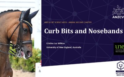 “Hiding in plain sight”: researcher tells veterinarians that bit and noseband pressures routinely exceed what equine tissues can tolerate