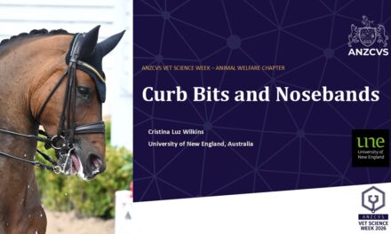 “Hiding in plain sight”: researcher tells veterinarians that bit and noseband pressures routinely exceed what equine tissues can tolerate